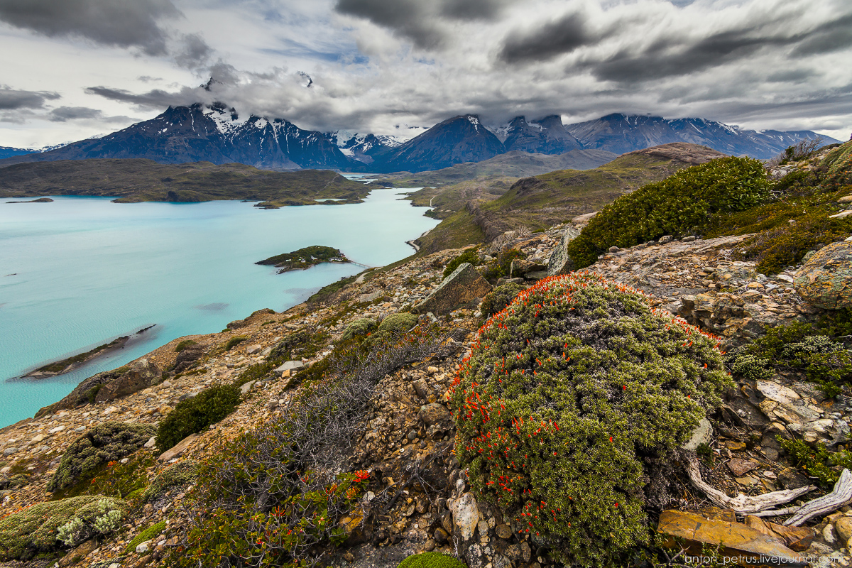 Patagonia Чили