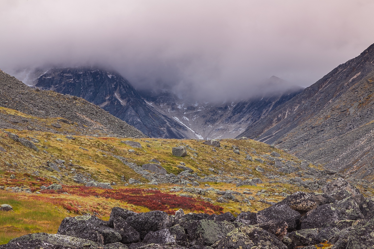 Горная тундра фото