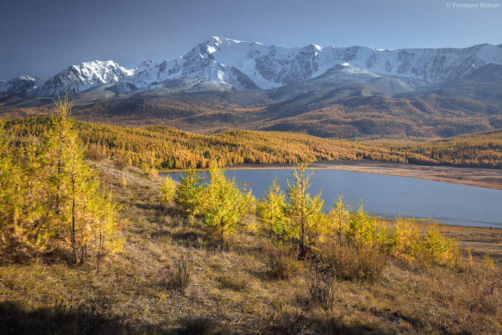 Золотая осень горный Алтай