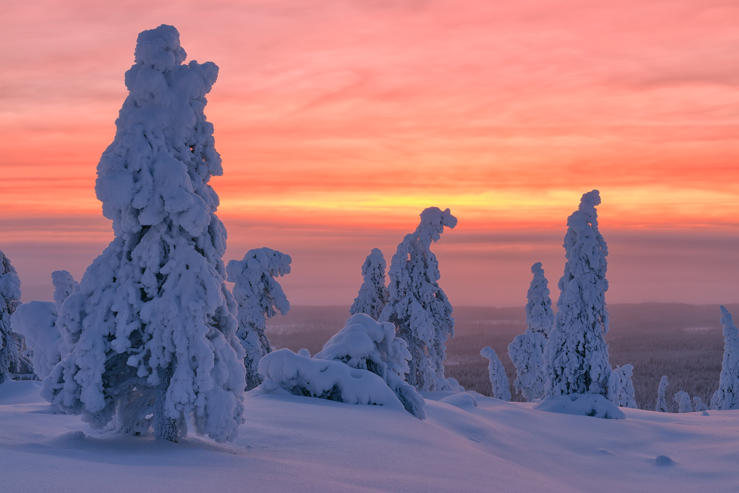Финляндия январь. Финляндия в январе. Скала в Лапландии. Утро в Финляндии.