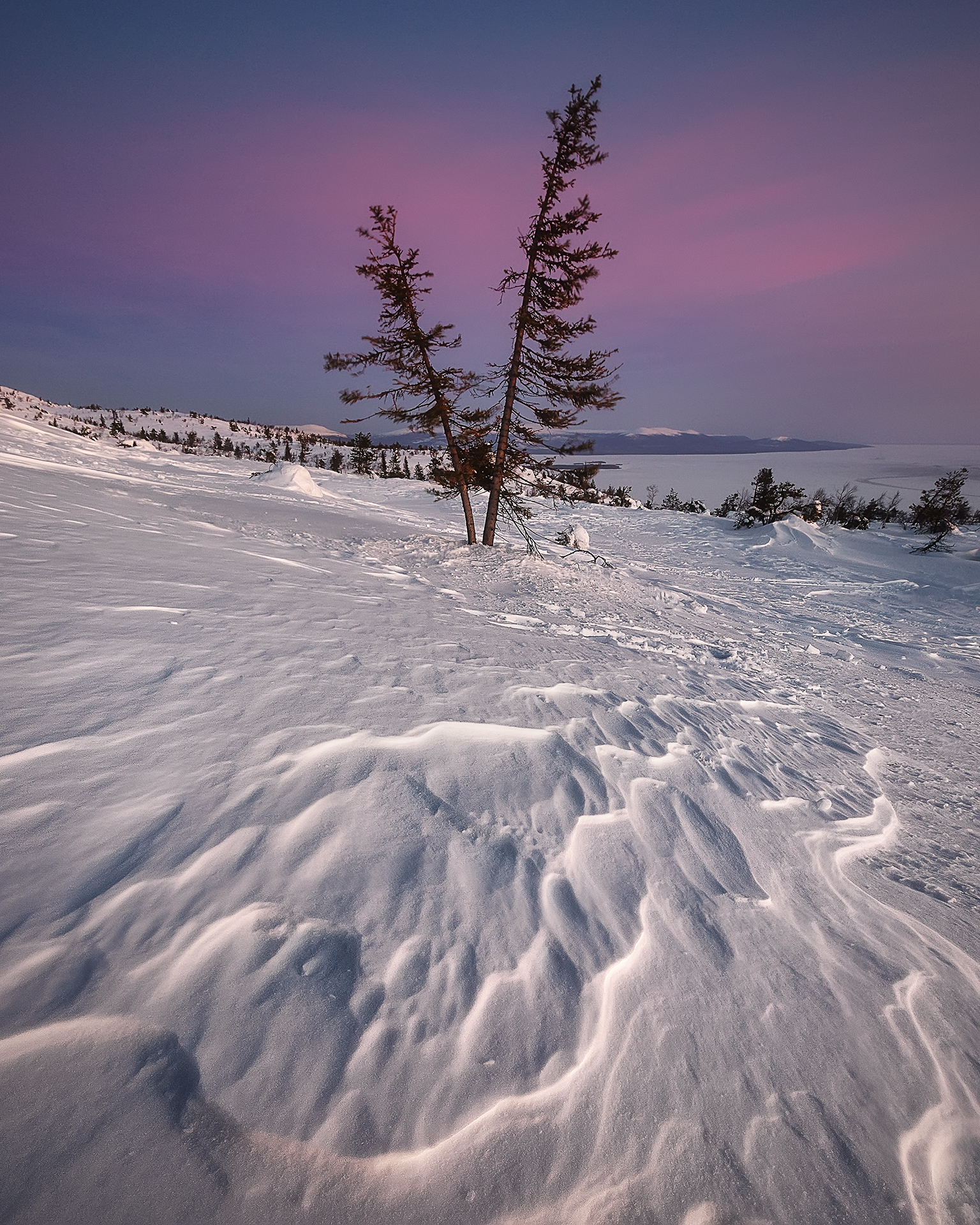 Заполярная природа словно. Зима на севере России. Фото крайнего севера России зимой.