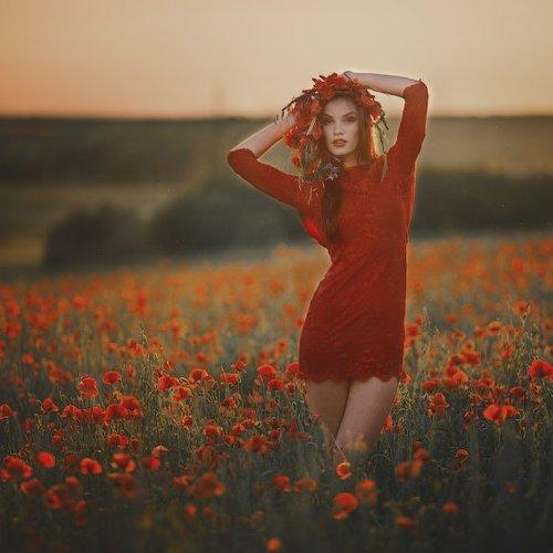 Превью фотографии фотографа Анатолий Черкас