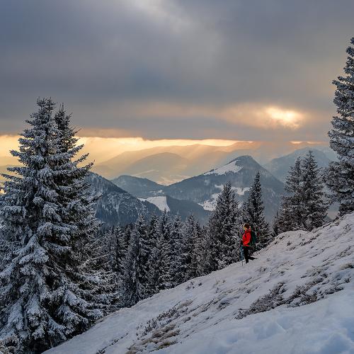Превью фотографии фотографа Олег Мильбергер