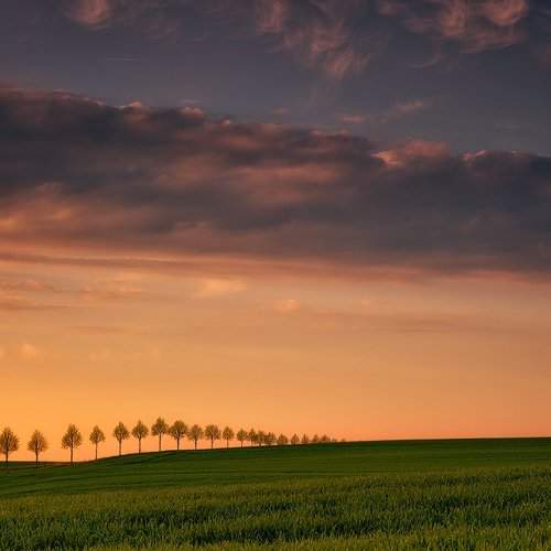 Превью фотографии фотографа Wojtek Kapuściński
