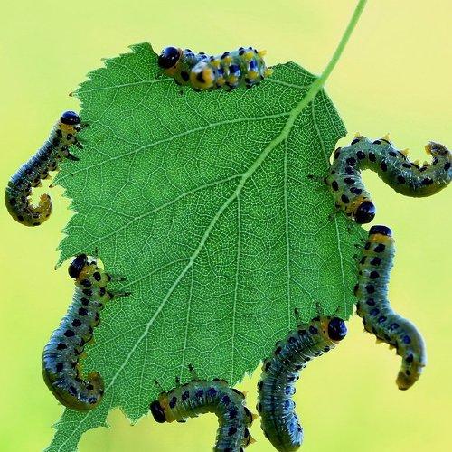 Preview Photographer\'s photo Darius Babelis