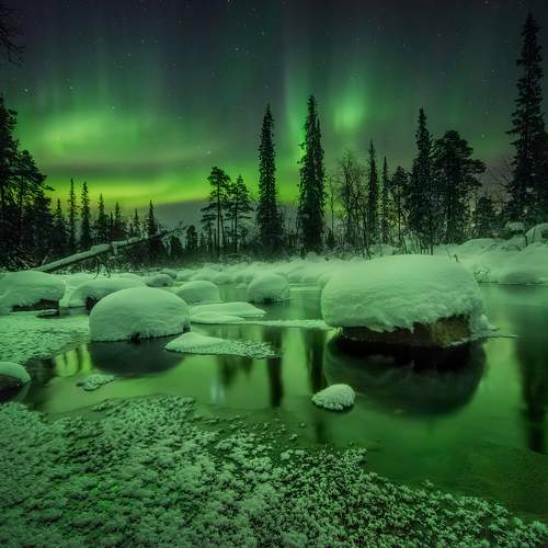 Превью фотографии фотографа Елена Ермолина