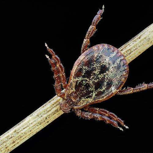 Превью фотографии фотографа Лукашук Евгений