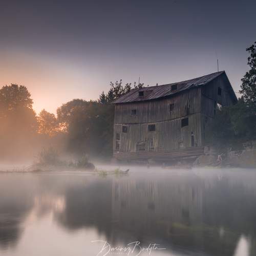 Preview Photographer\'s photo Budyta Dariusz