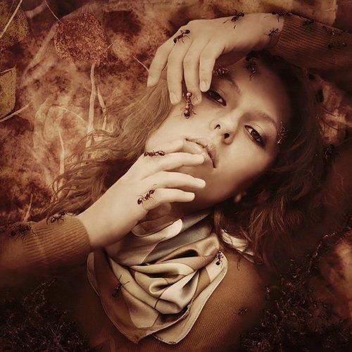 Превью фотографии фотографа bioskiss