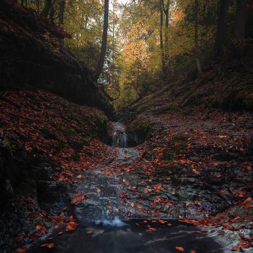 Превью фотографии фотографа Baran Erik
