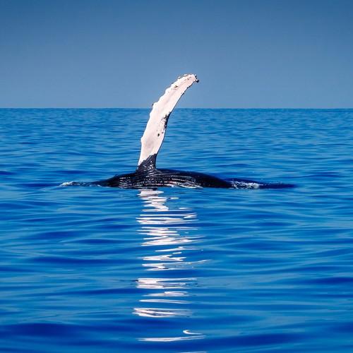 Превью фотографии фотографа ГеннадийАлексеич