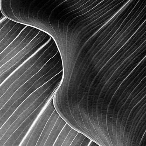 Превью фотографии фотографа Volegov Oleg