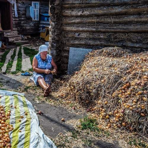 Деревенские будни.. Фотограф Александр Швачко