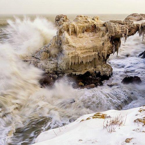 Preview Photographer\'s photo Малкия Петърчо