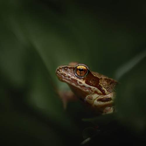 Preview Photographer\'s photo Татьяна Винничук