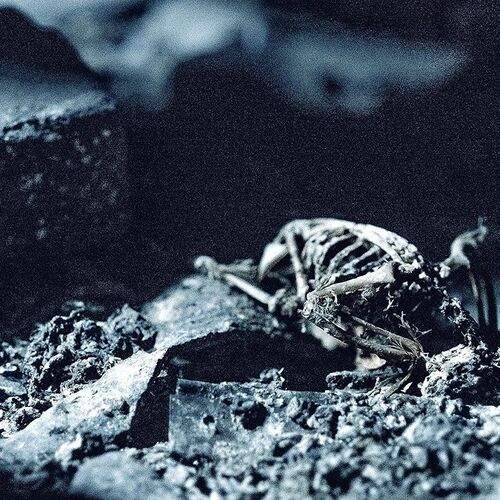 Preview Photographer\'s photo Игорь Ксай