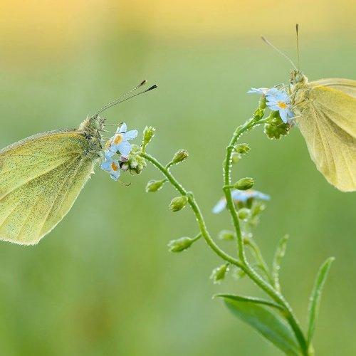 Preview Photographer\'s photo Zbyszek  Walkiewicz