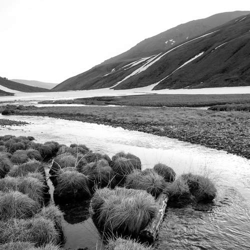 Превью фотографии фотографа Елена Шевченко