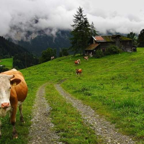 Превью фотографии фотографа Игорь4