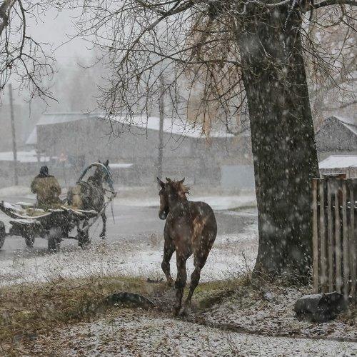 Превью фотографии фотографа Александр Волобуев