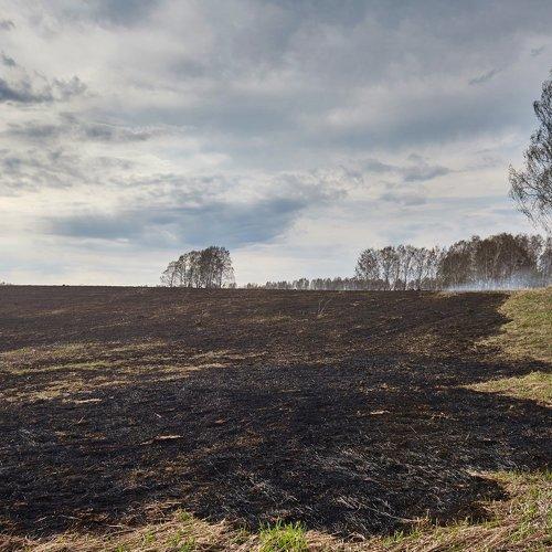 Выжженное поле. Выгоревшее поле. Поле заброшенное зимой. Весна на заброшенном поле. Выжженный луг.