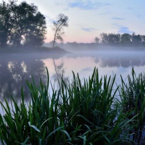 Превью фотографии фотографа Животков Андрей