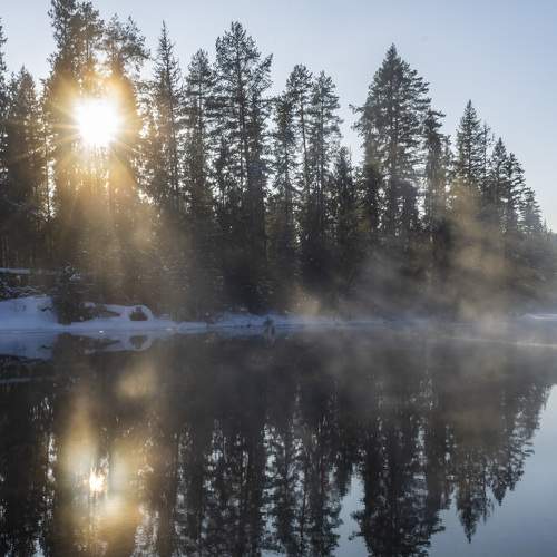 Превью фотографии фотографа Галина Луценко