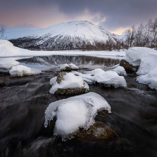 Превью фотографии фотографа Maria Pochikaeva