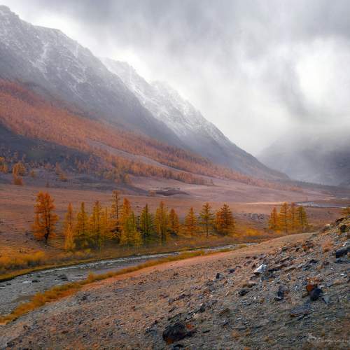 Preview Photographer\'s photo Крат Светлана