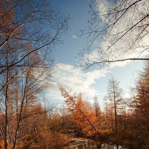 Preview Photographer\'s photo Sir Fisher