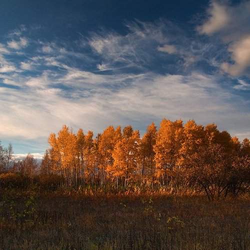 Preview Photographer\'s photo photokate