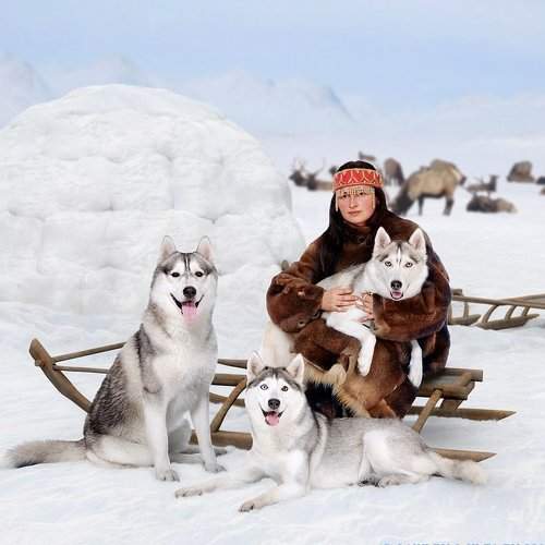 Превью фотографии фотографа KI-FA.ru