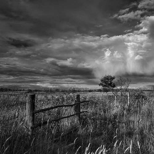 Превью фотографии фотографа photokate