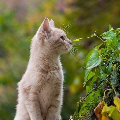 Превью фотографии фотографа Владимир