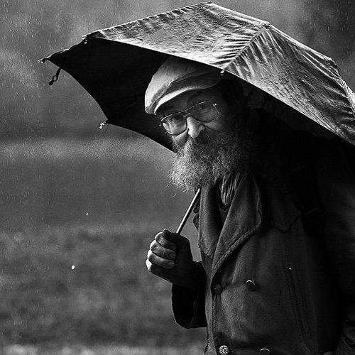 Превью фотографии фотографа Максим Юлдашев