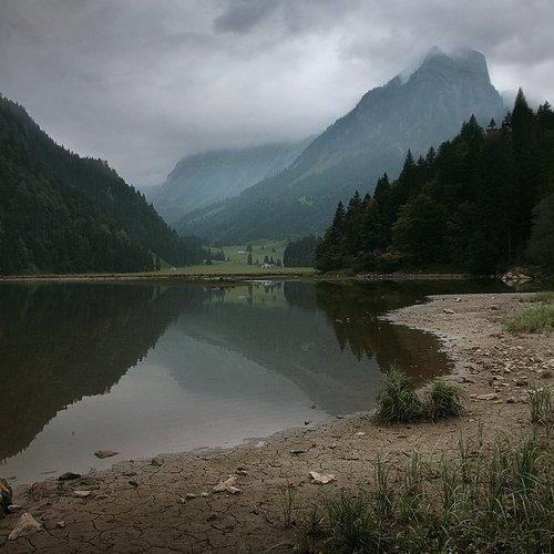 Preview Photographer\'s photo Julia Art