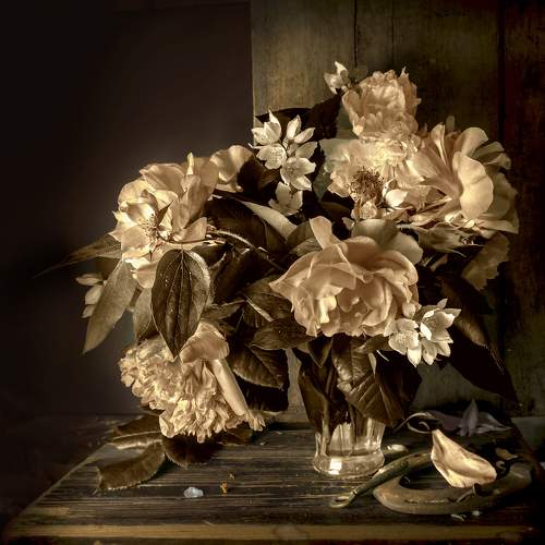 Превью фотографии фотографа Milena Ivanova