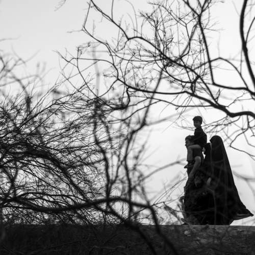 Превью фотографии фотографа Karar Ali Sabih