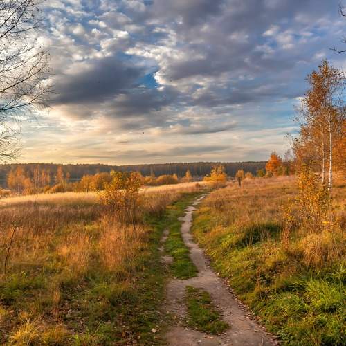 Preview Photographer\'s photo Бойков Алексей