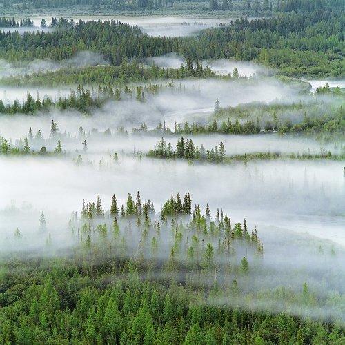 Preview Photographer\'s photo Павел Филатов