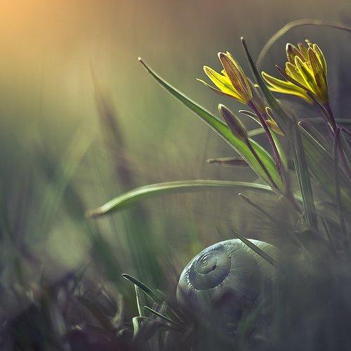 Preview Photographer\'s photo Gabriel Prescornita