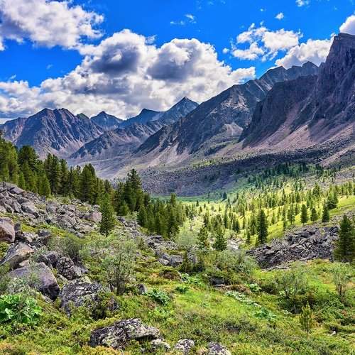 Preview Photographer\'s photo Zhaubasar