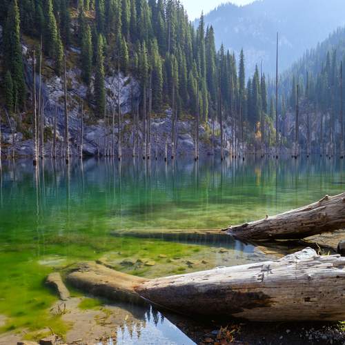 Превью фотографии фотографа Андрей Хаймин
