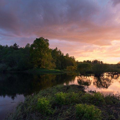 Рай смоленск. Сертея Велижский район. Озеро в деревне рай Смоленск. Озеро Сертея Смоленской области. Озеро Сертея Велижский район.