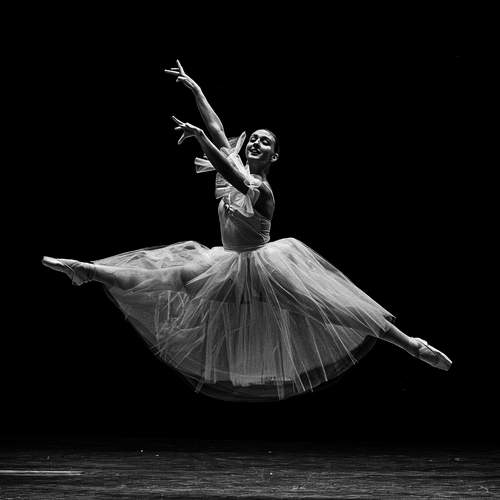 Preview Photographer\'s photo Lucendi Noctem