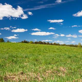 Photo 13569822
