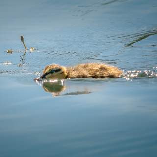 Photo 13605413