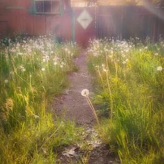 Photo 13606838