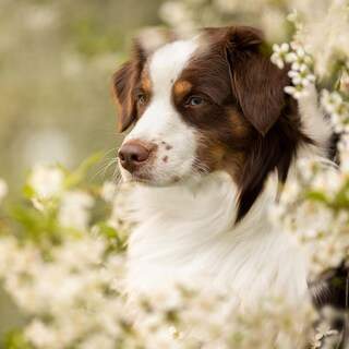 Photo 13607498