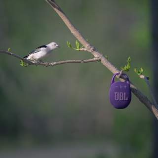 Photo 13607870